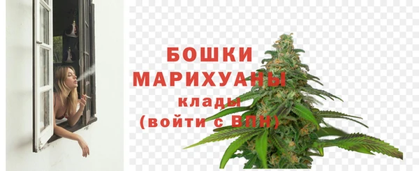 спиды Вязьма