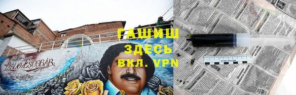 mdpv Вяземский
